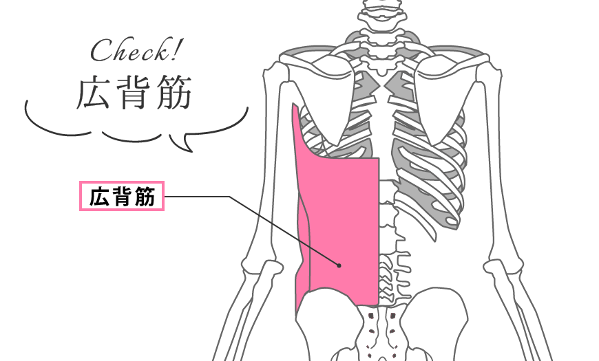 背筋の正しいやり方 パーソナルトレーナーが実践 間違えると逆に腰痛になる Sizzle シズル