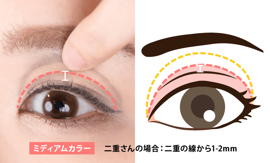 アイシャドウの塗り方 基本編 初心者向け どこまで塗るか丸分かり 人気の3ceアイシャドウパレットで解説 Sizzle シズル