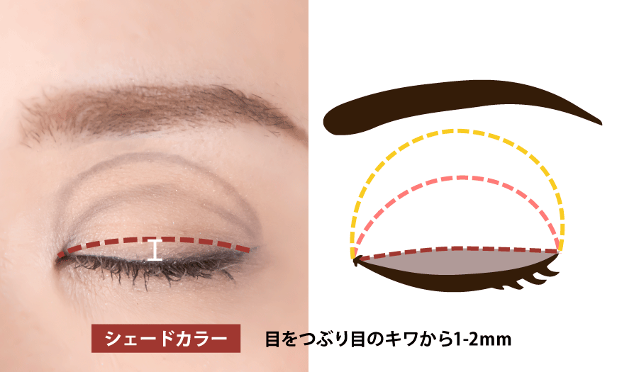 アイシャドウの塗り方 基本編 初心者向け どこまで塗るか丸分かり 人気の3ceアイシャドウパレットで解説 Sizzle シズル